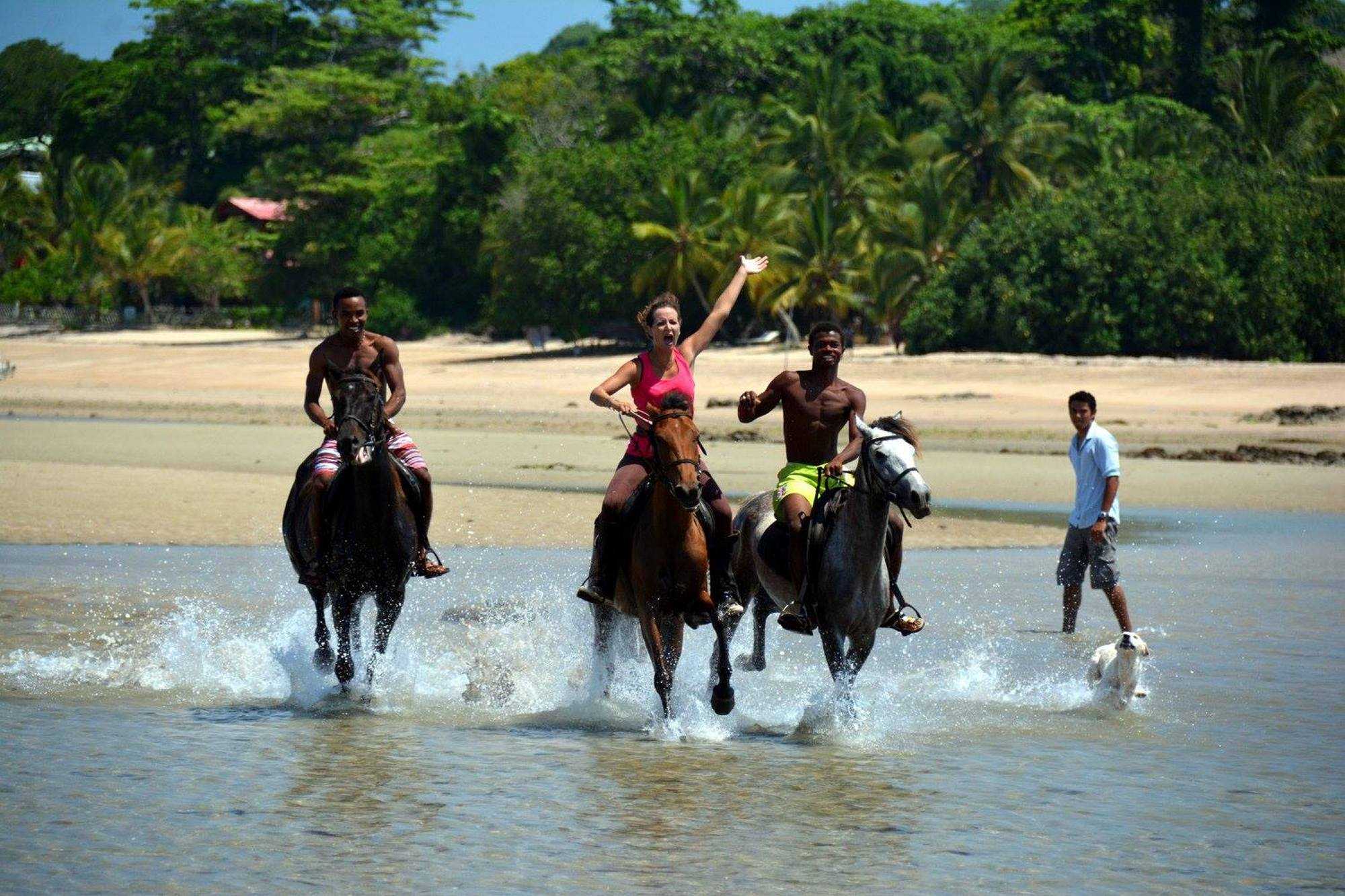 Cheval plage Nosy Be
